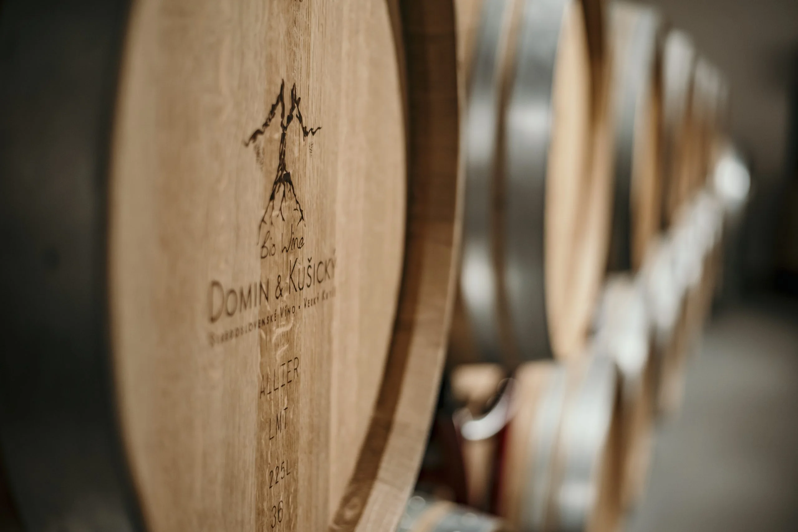 Vinárstvo Domín a Kušický